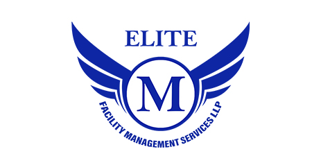 Creative Branding and Logo Design Agency in Hyderabad - Scrutiny Software Solutions